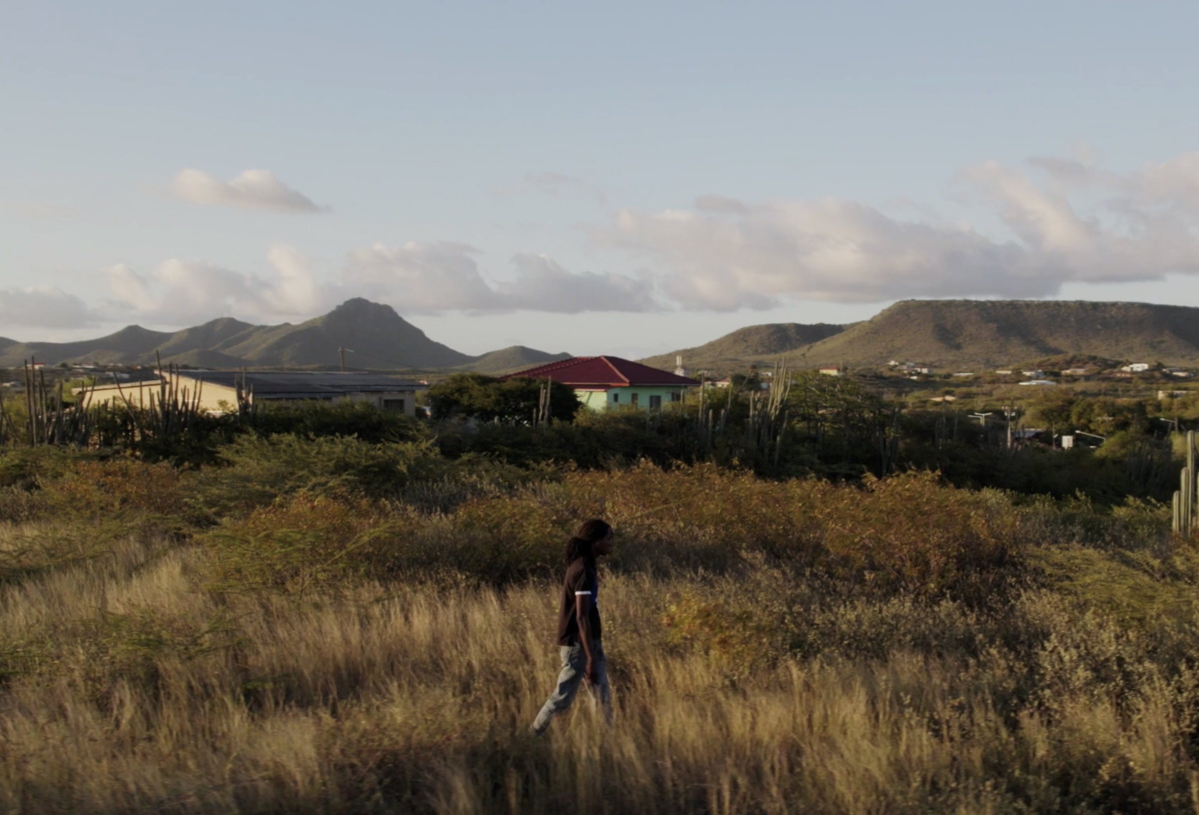 A young man walking through golden grass in the Curaçao kunuku countryside, with hills behind